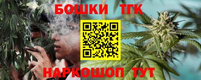 сатива Нальчик